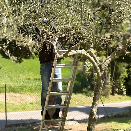 Bed and Breakfast Il Frantoio