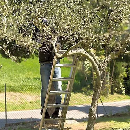 Bed & Breakfast Il Frantoio